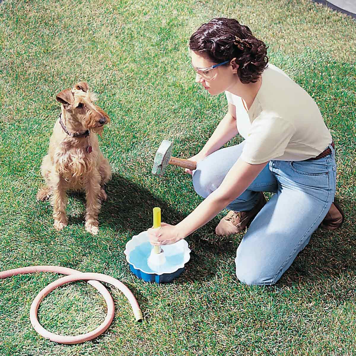 Tip-Proof Watering Dish