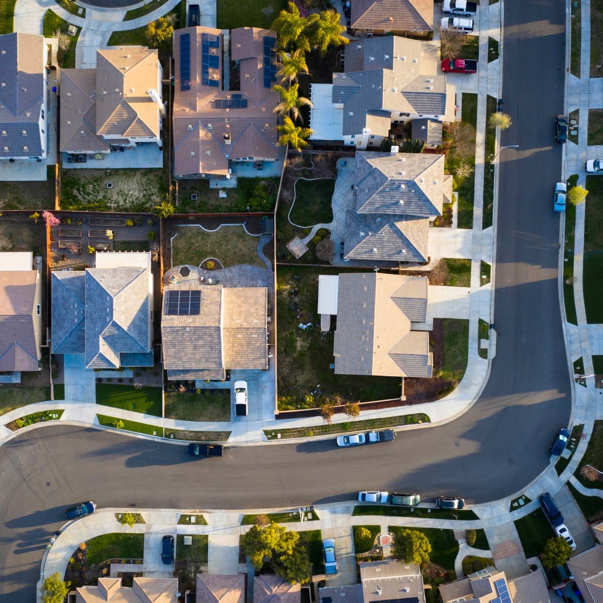 neighborhood Suburban Rooftops