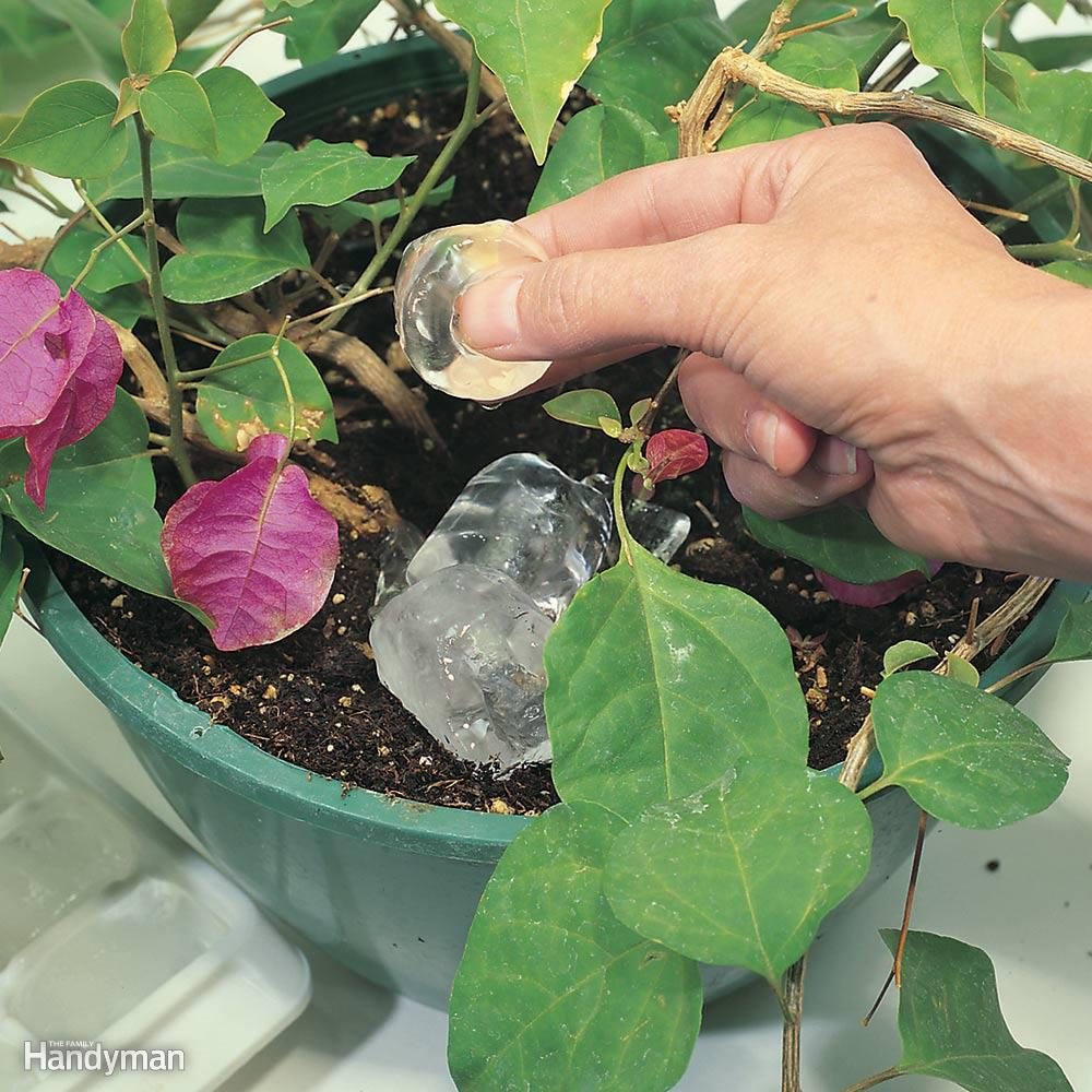 FH01JUN_02338005_res300