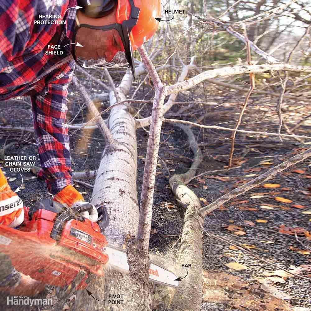 Start Cutting Branches at the Trunk