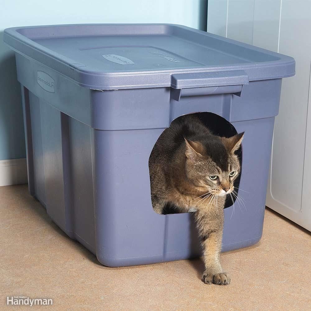 No-Mess Litter Box