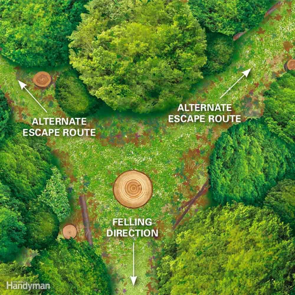Clear a Cutting Zone
