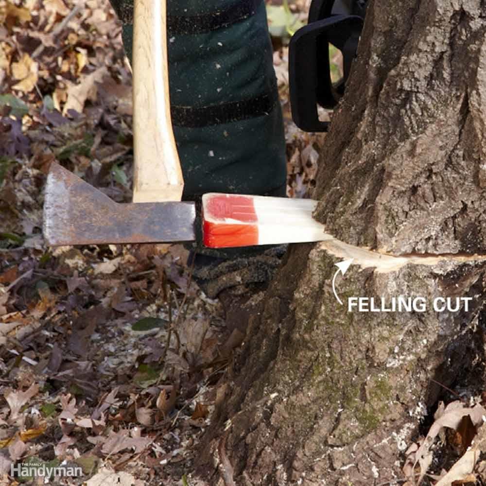 Use Wedges on Big Trees