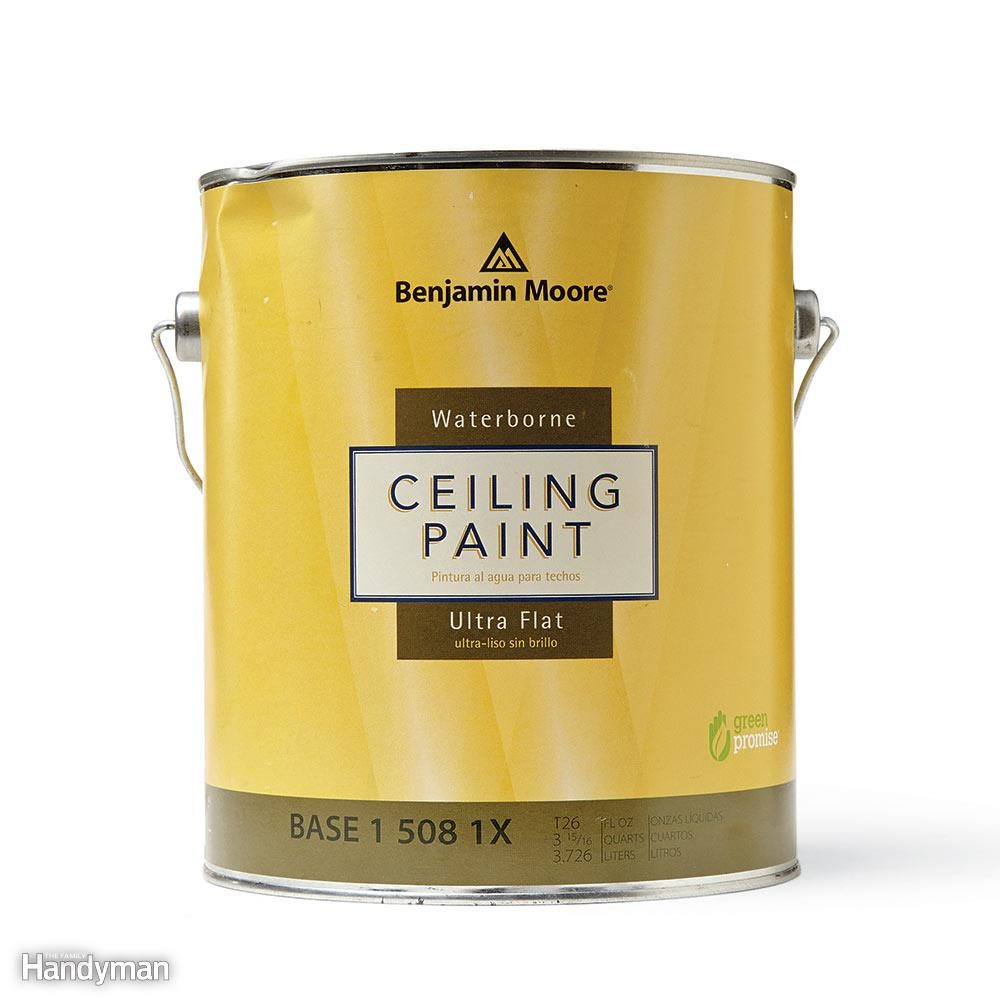 Buy Special Ceiling Paint