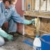 Mold Remediation: How to Remove Mold