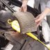 10 Car Problems You Can Easily Fix Yourself