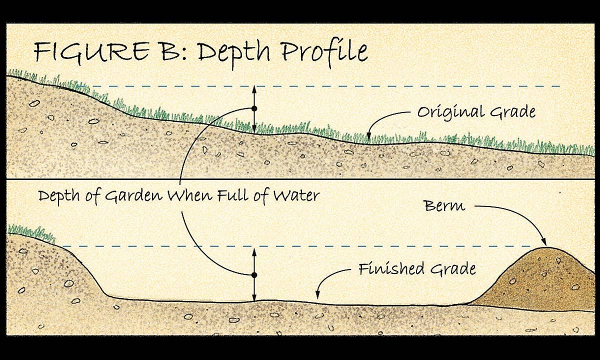 How to Build a Rain Garden in Your Yard