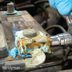 Car Battery Corroded? Hereâ€™s How To Clean It