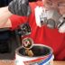 How to Repair Small Engines: Cleaning the Lawn Mower Carburetor