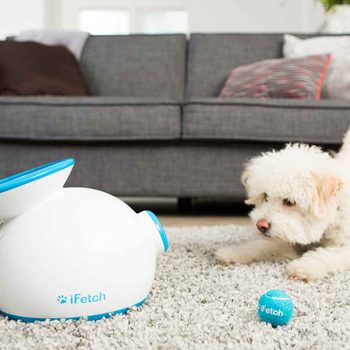 high tech pet toys