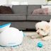 8 High-Tech Gadgets You and Your Pet will Love