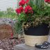 4 Easy Ways to Dress Up a Cheap Planter