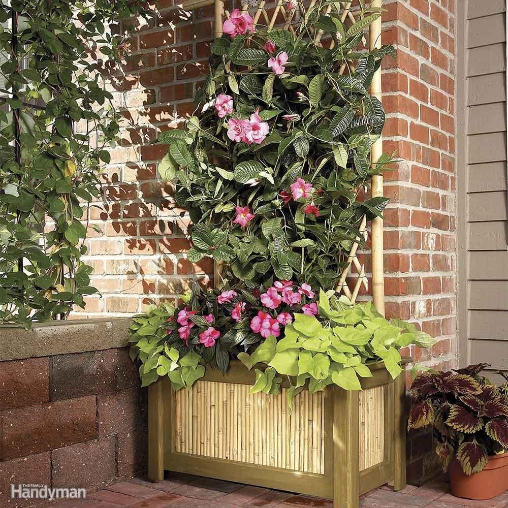 trellis planter diy backyard