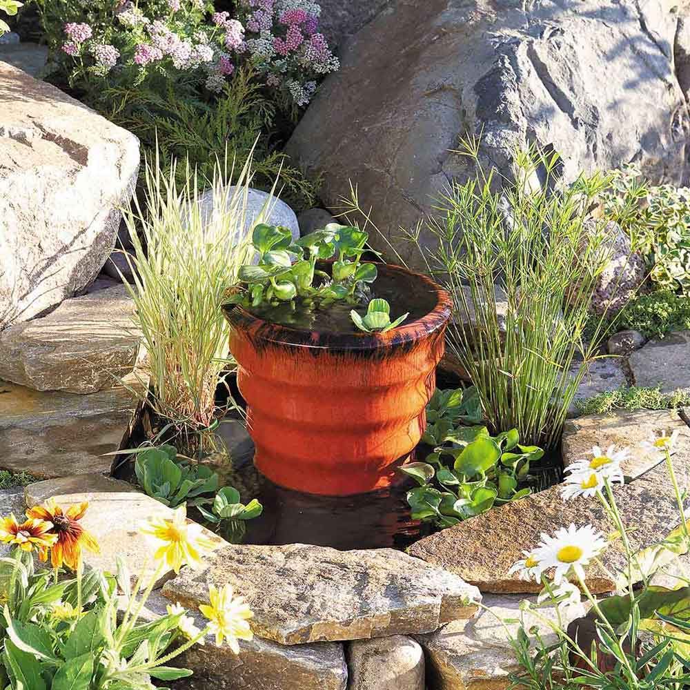 One-Day Mini Pond and Fountain