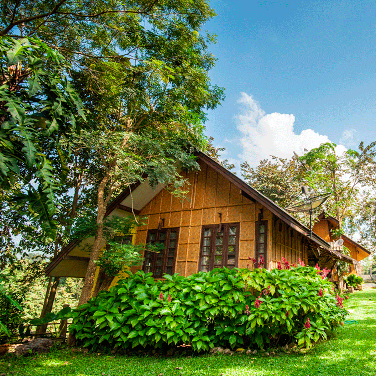 house in the woods how to make your house cooler