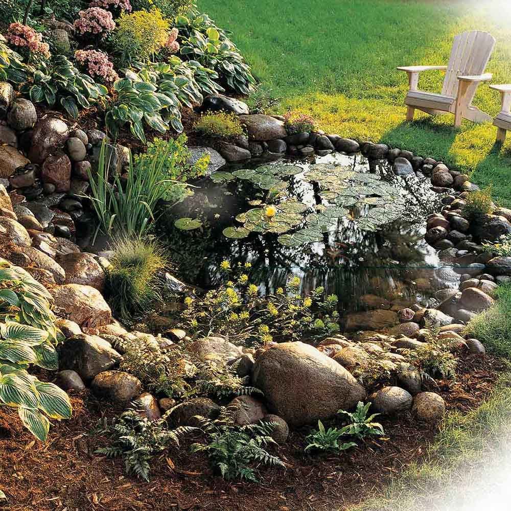 Water Garden Pond