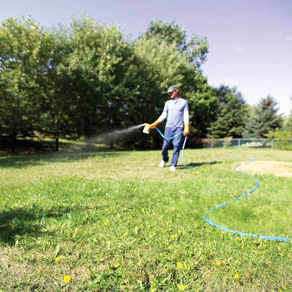 Use liquid broadleaf weed killers