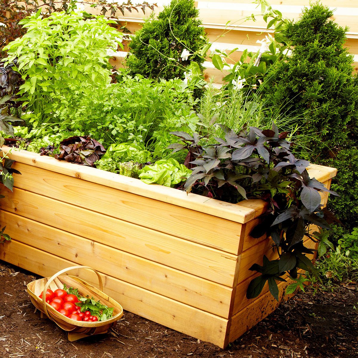 self watering planter