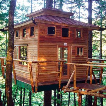 Tree house inspiration