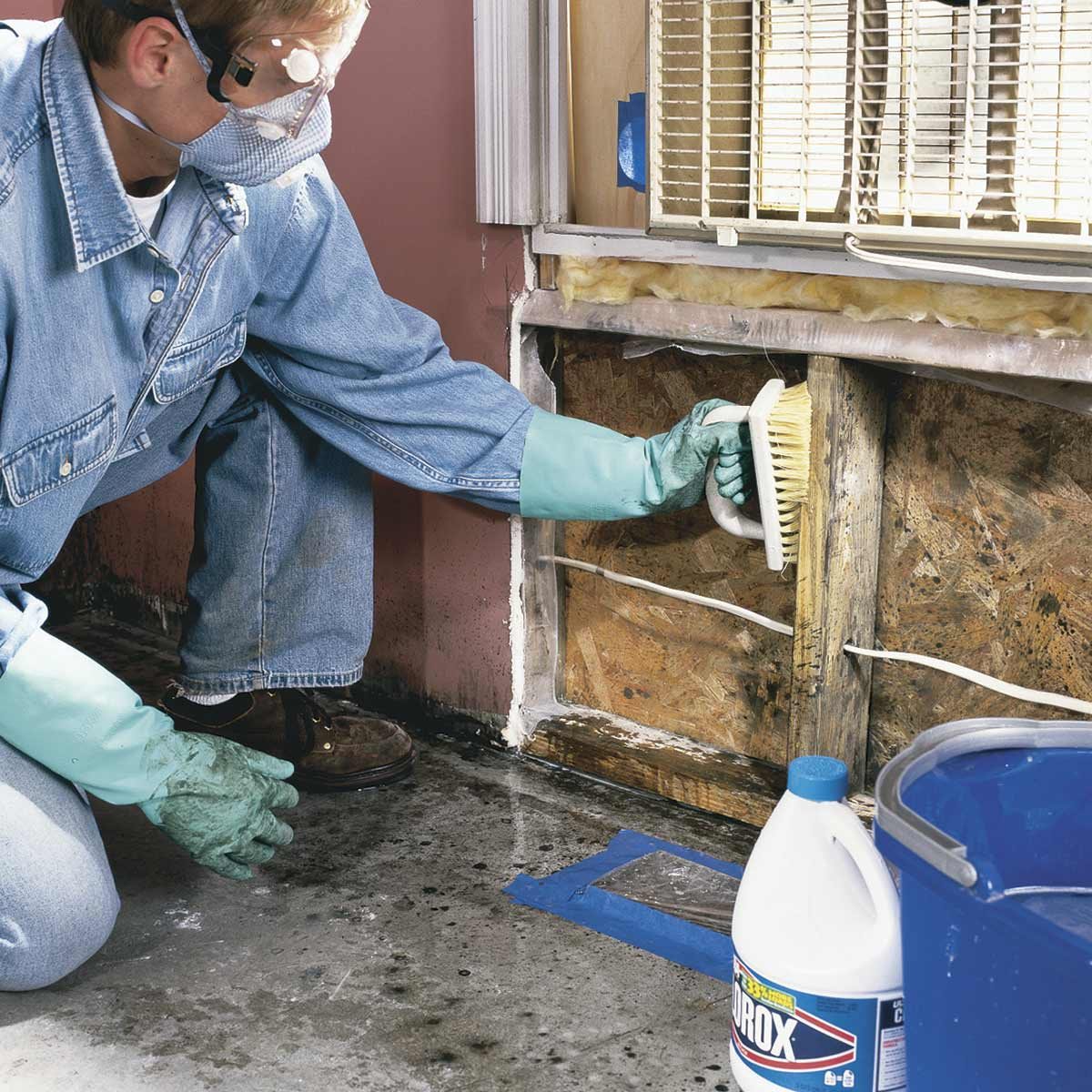 Discovering and Removing Mold