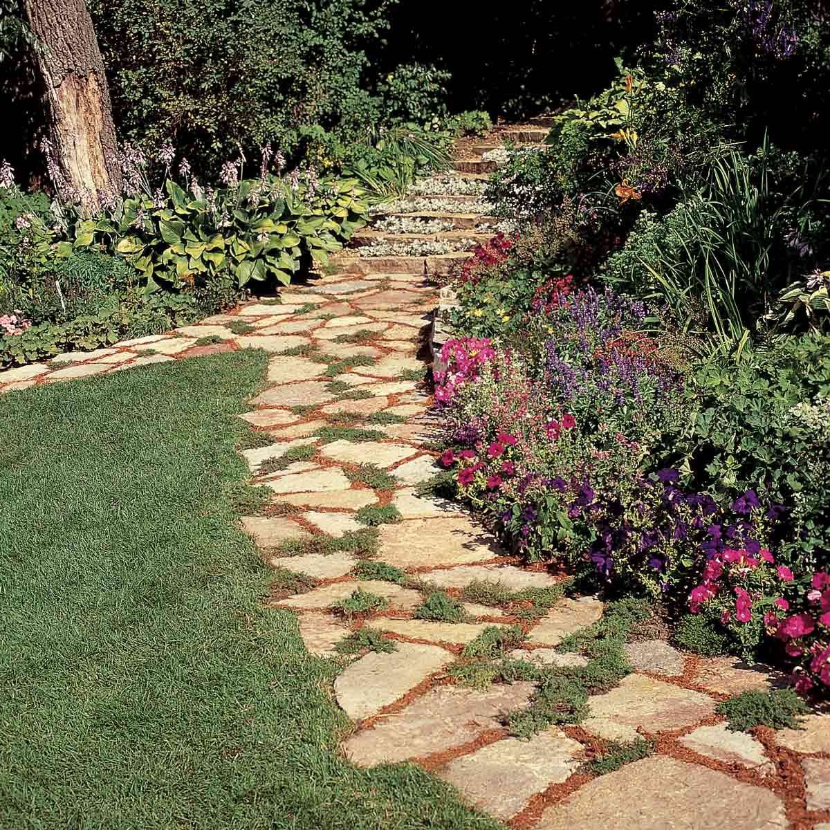 Stepping-Stone Path