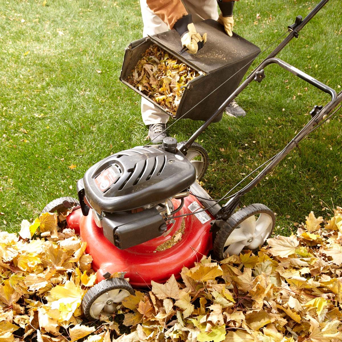 Mower Leaf Collection