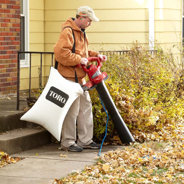 Yard Vacuum