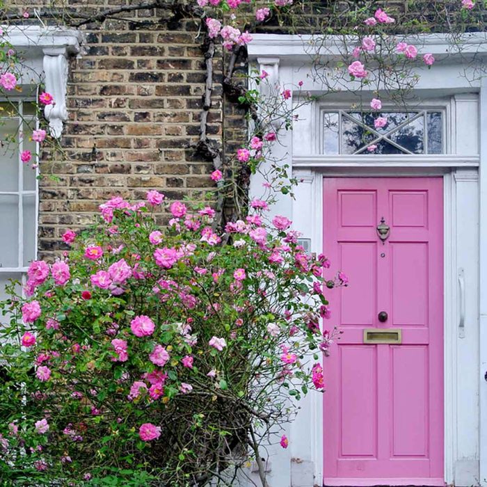 pink front door