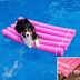 5 DIY Pool Floaties Your Dog Will Love