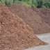 13 Best Tips for Mulching