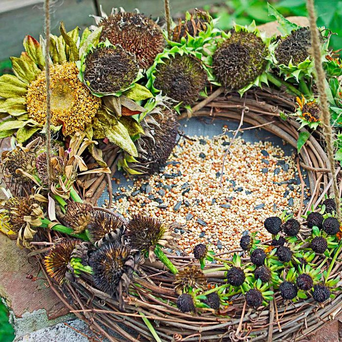 bird feeder wreath