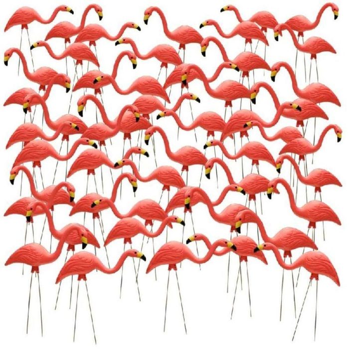 dfh17aug028_lawn yard flamingos weird things