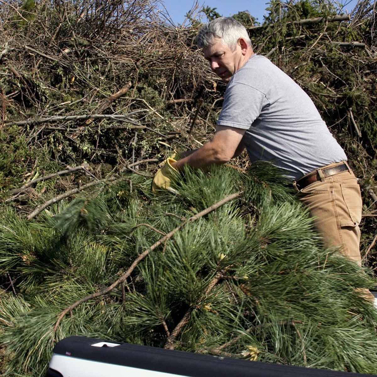 Materials to Avoid in Winter Composting