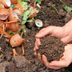 10 Tips for Winter Composting