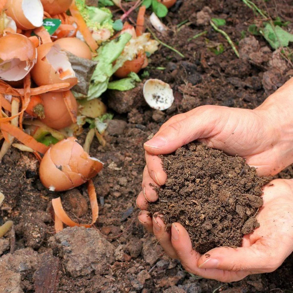 Know What You Can Compost