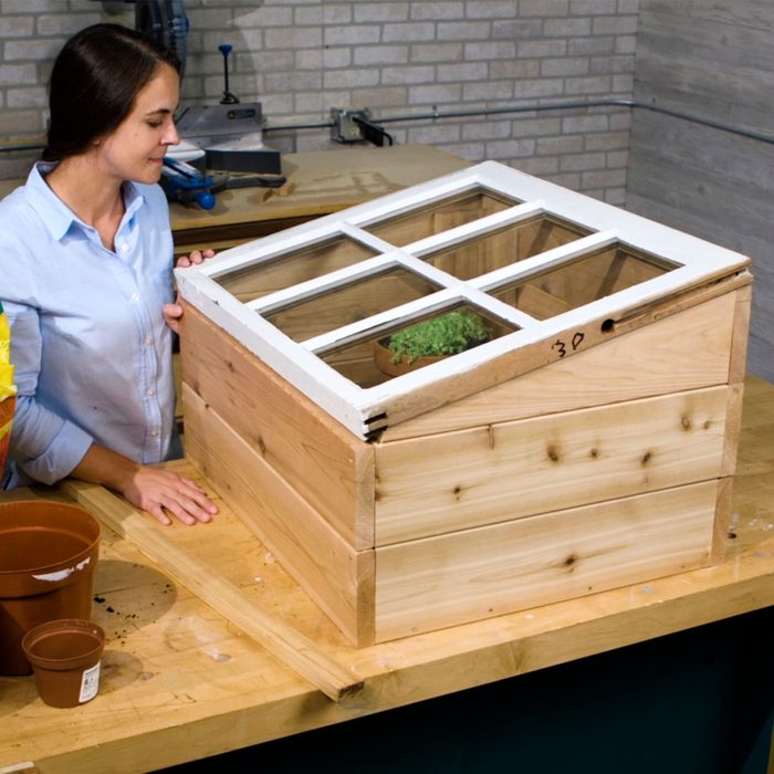 mini greenhouse from old windows