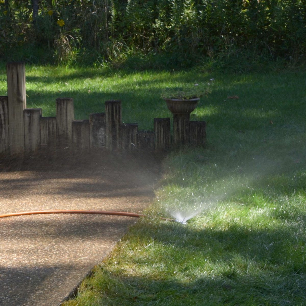 soaking grass