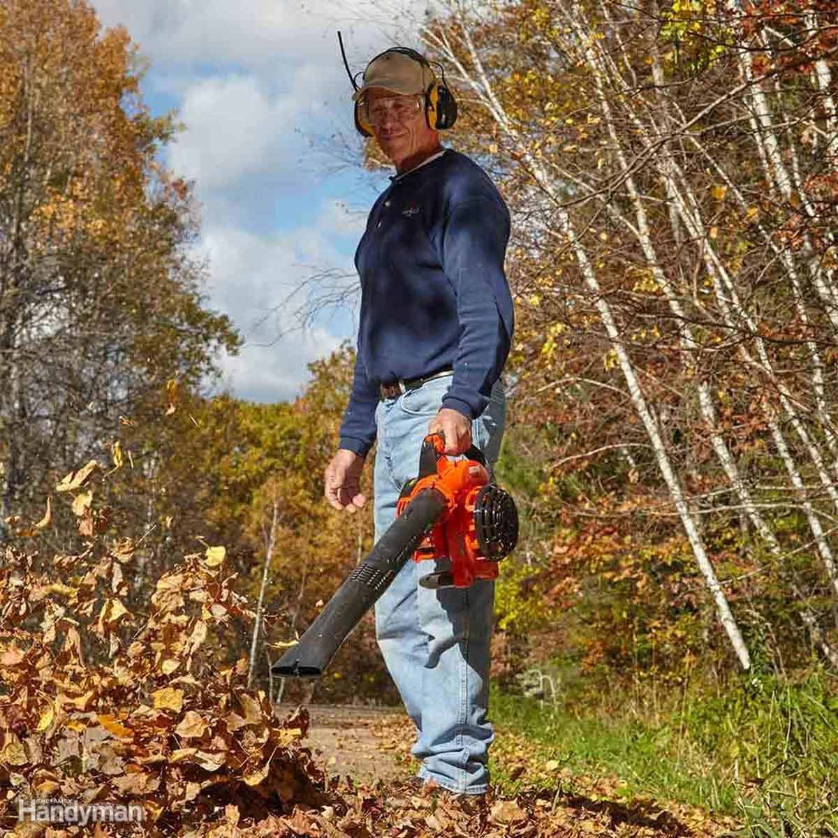 Get Out the Leaf Blower