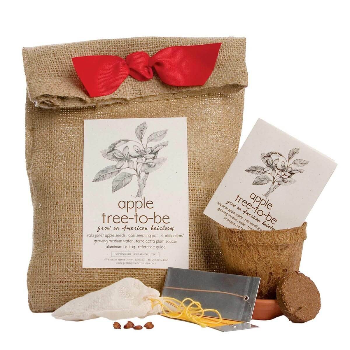 apple tree planting kit gift _05