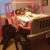 Reader Project: Kids Jeep Bed