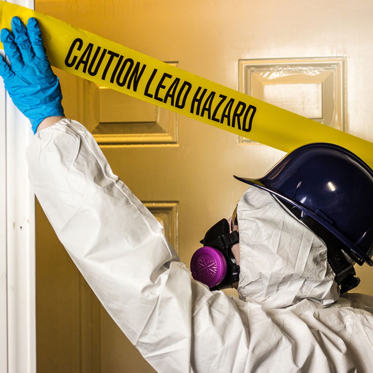 Mold, Asbestos and Lead Removal