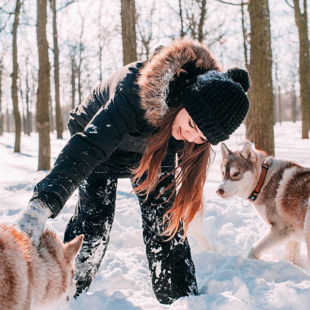 Don't Leave Dogs Outside Alone for Long Periods