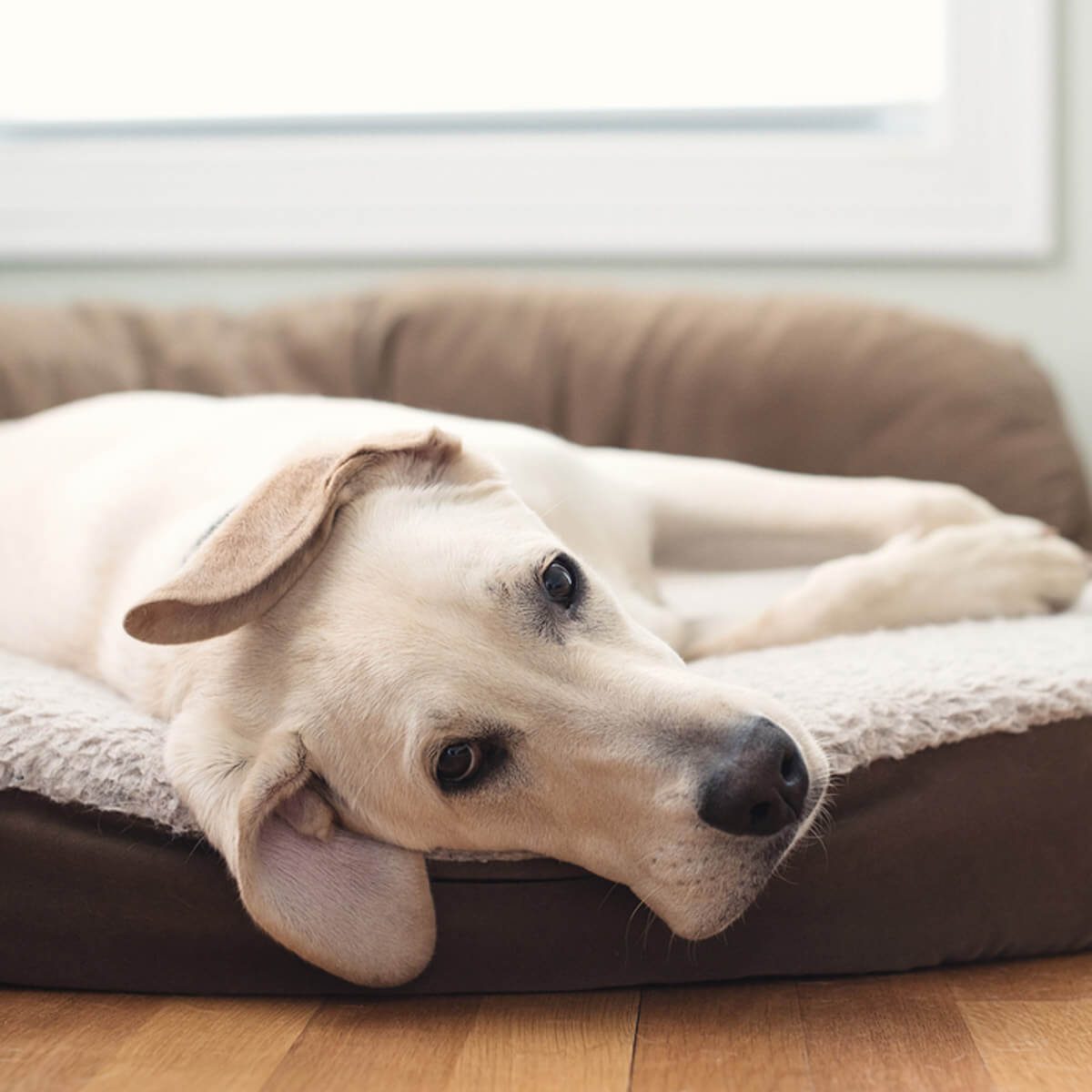 Create Warming Stations Inside