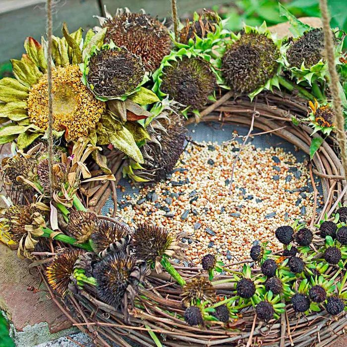 DIY wreath bird feeder