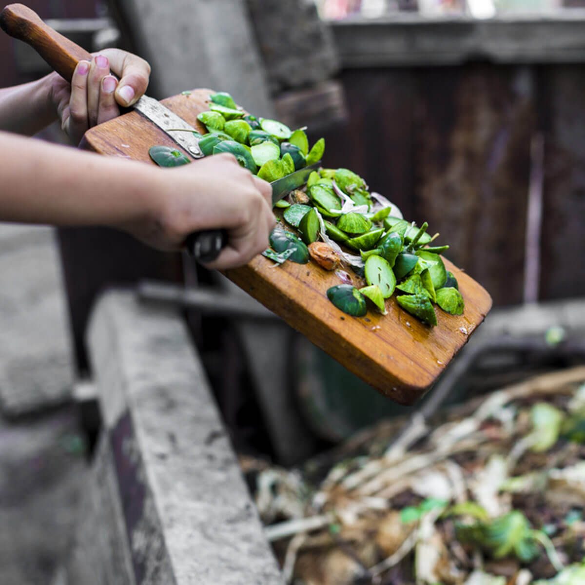 shutterstock_686242249 compost vegetables