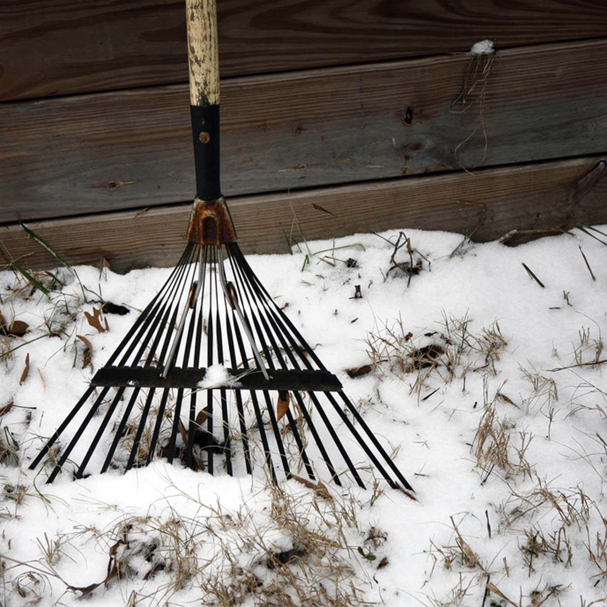 Is Your Lawn Ready for Winter? Here’s What To Do