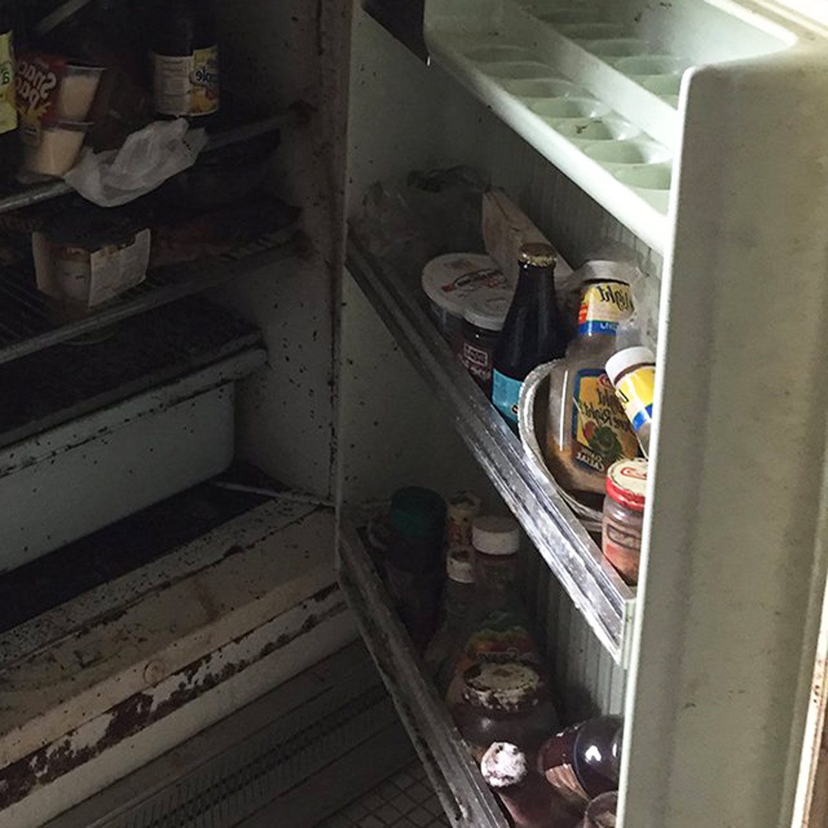 10-Refrigerator_of-the-Craziest-Things-Ever-Found-in-Home-Inspections_courtesy-H2H-organizing