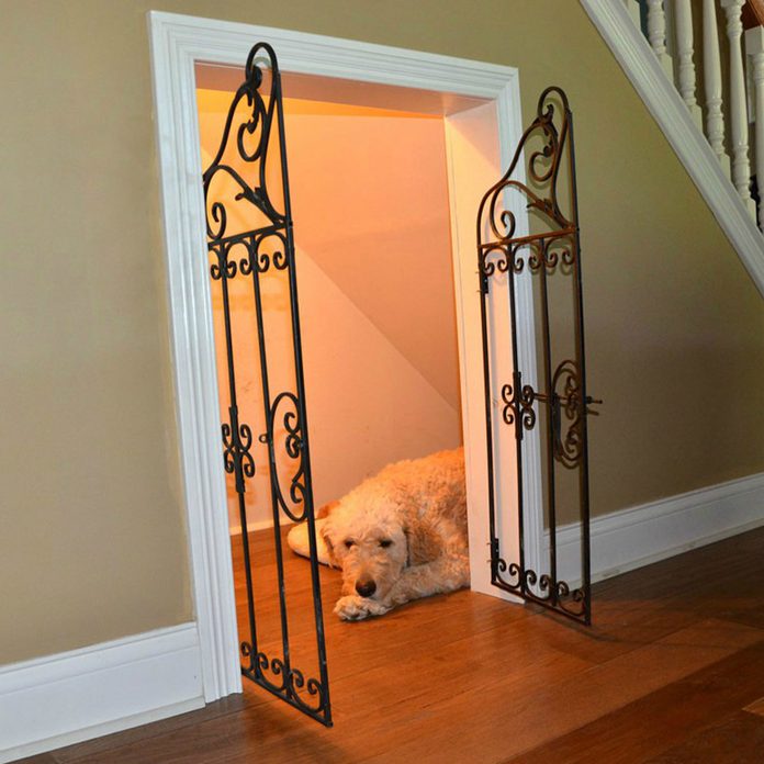 bayroom under the stairs dog room