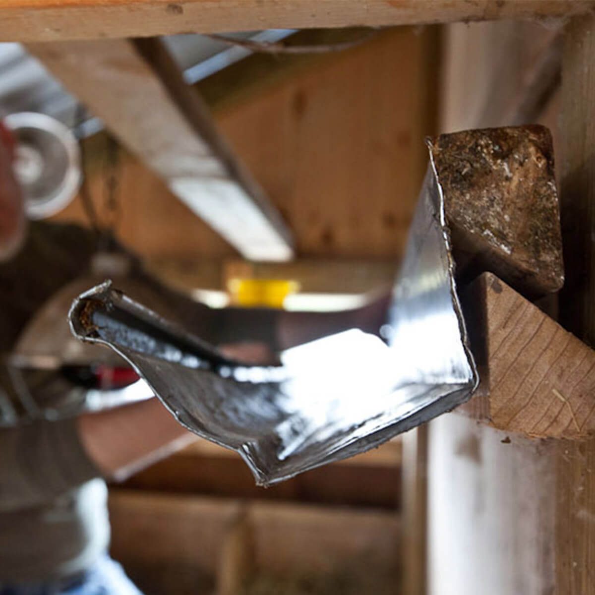 gutter-in-chicken-coop