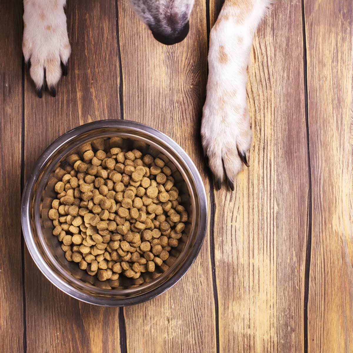 Pet dog food